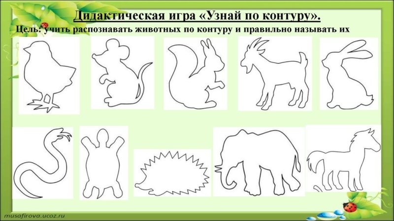 Контуры животных для детей