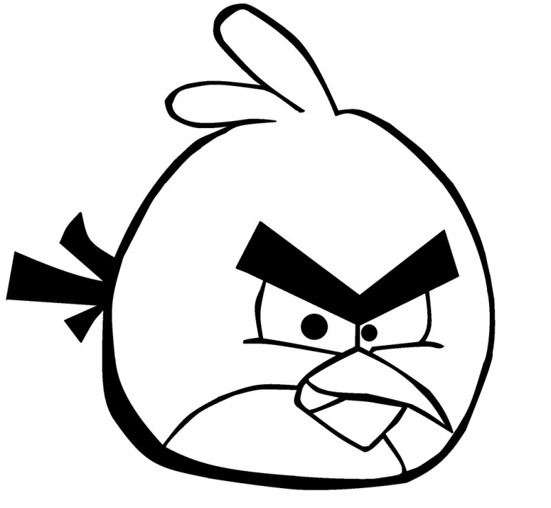 Раскраска злые птички ред