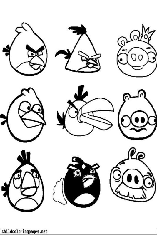 Раскраска свинки из Энгри бердз