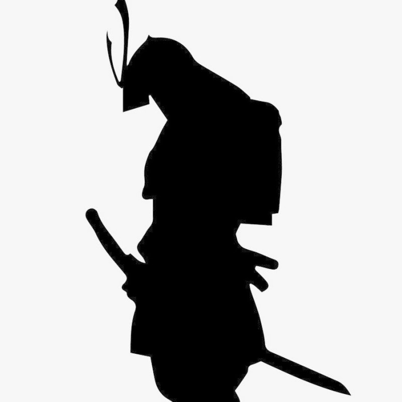 Силуэт воина