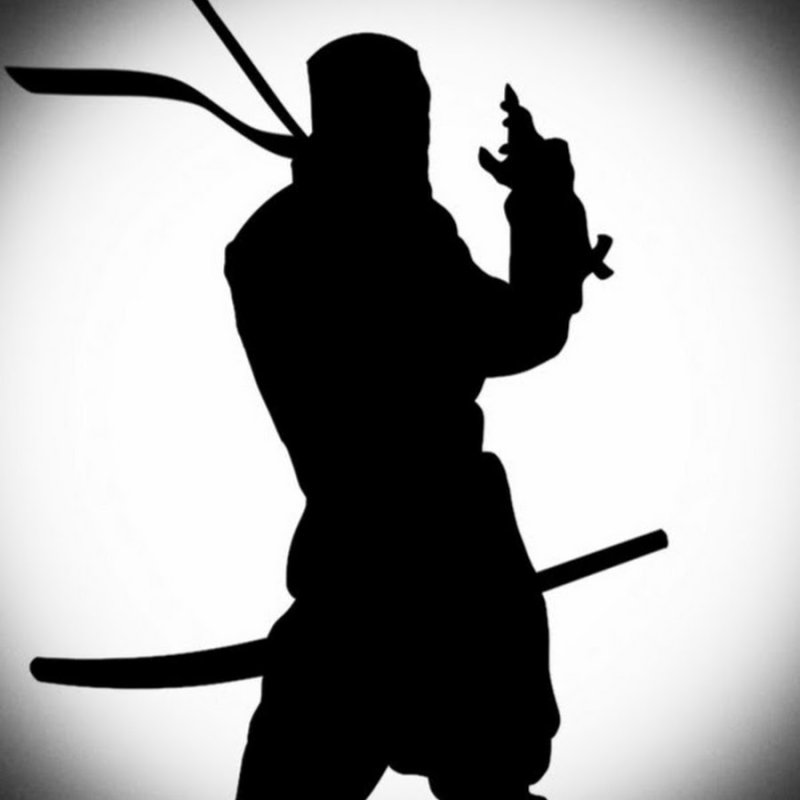 Силуэт воина