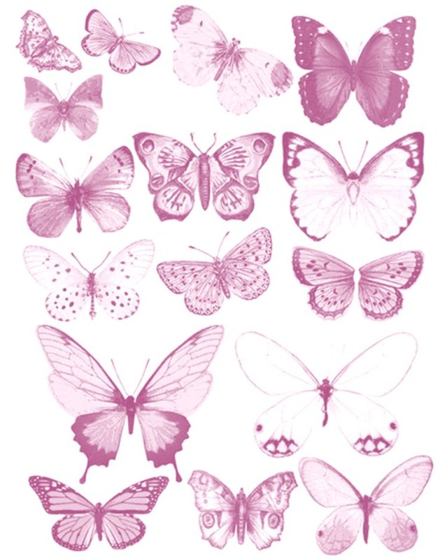 Бабочки розовые