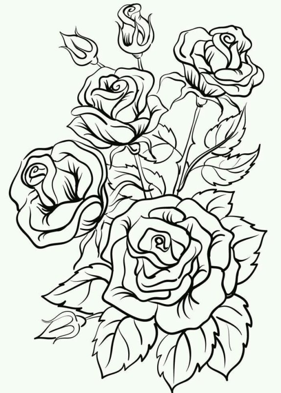 Цветы. Раскраска