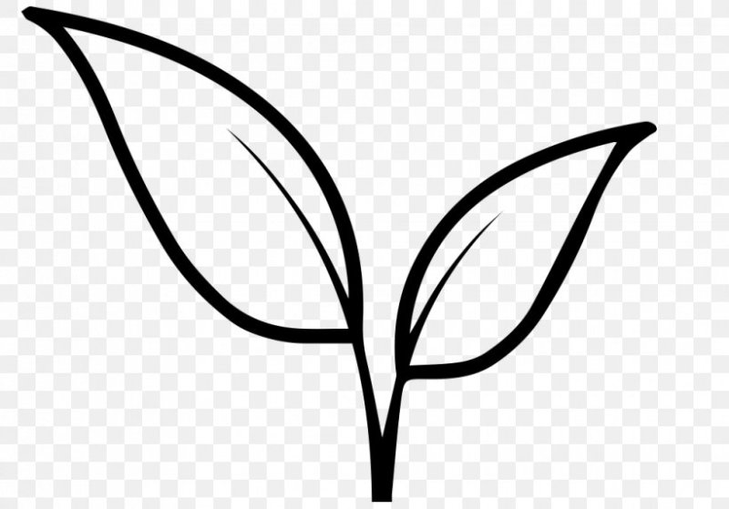 Листья рисунок