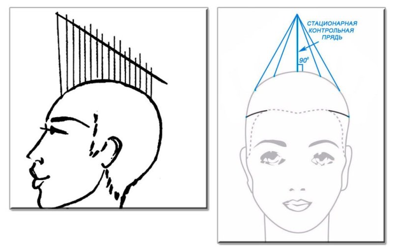 Стрижка теменной зоны схема