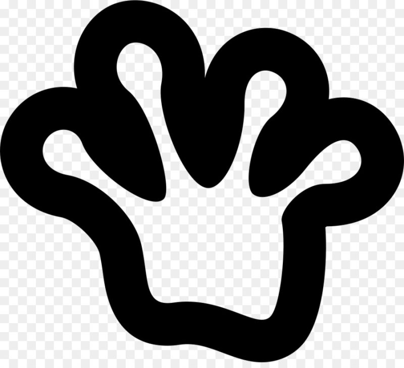 Следы Лягушачья лапа