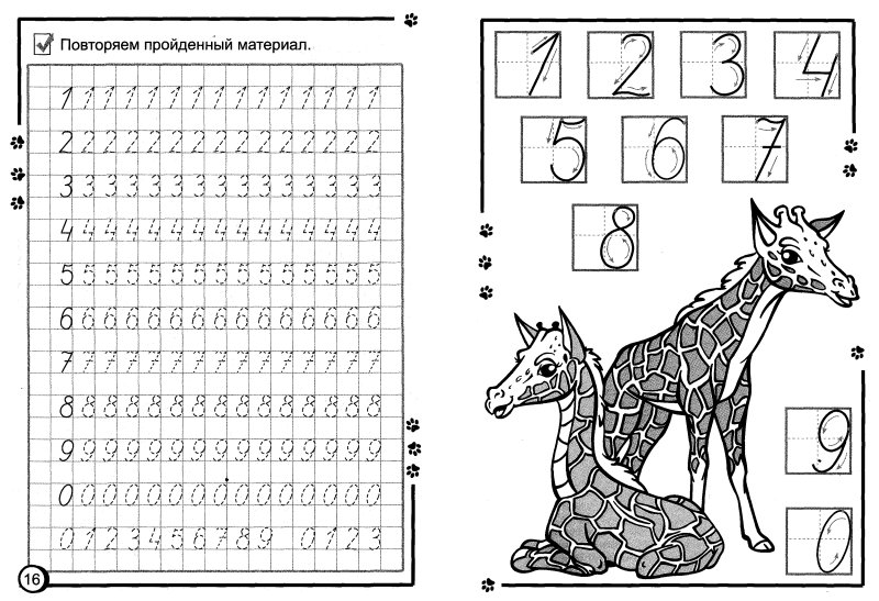 Прописи цифра 1 для дошкольников 5-6 лет