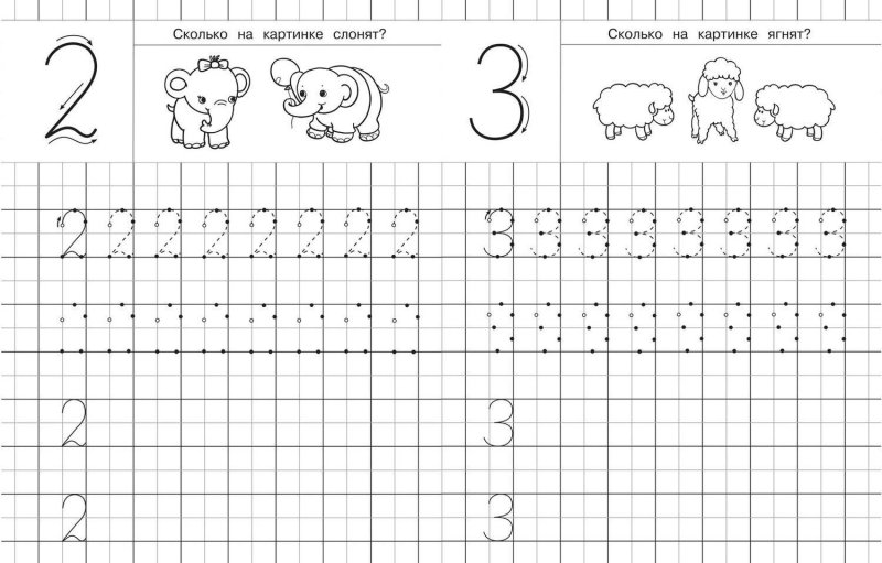 Прописи цифр 1.2.3 для дошкольников
