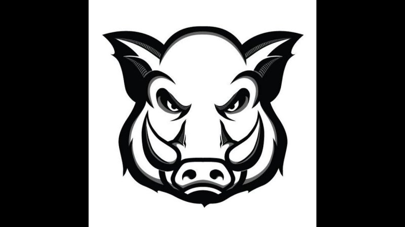 Морда кабана