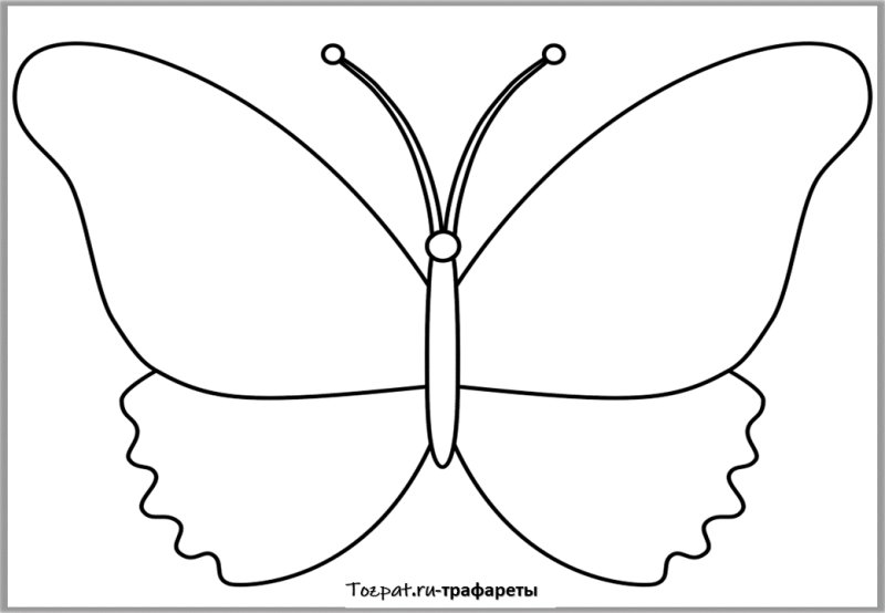 Крыло бабочки трафарет