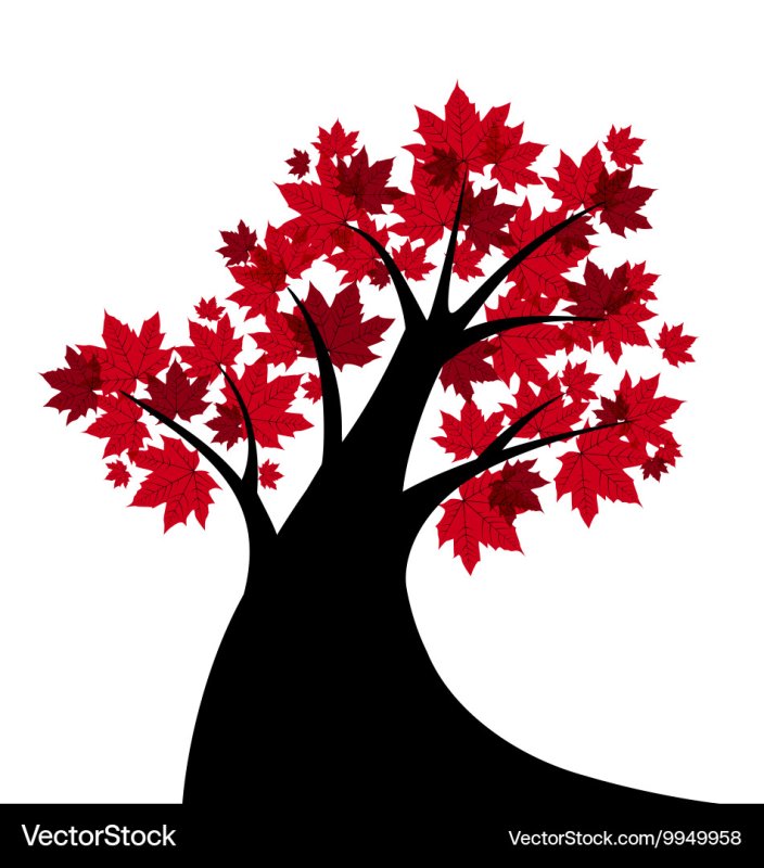 Клен дерево трафарет