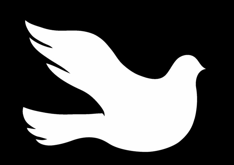 Голубь трафарет