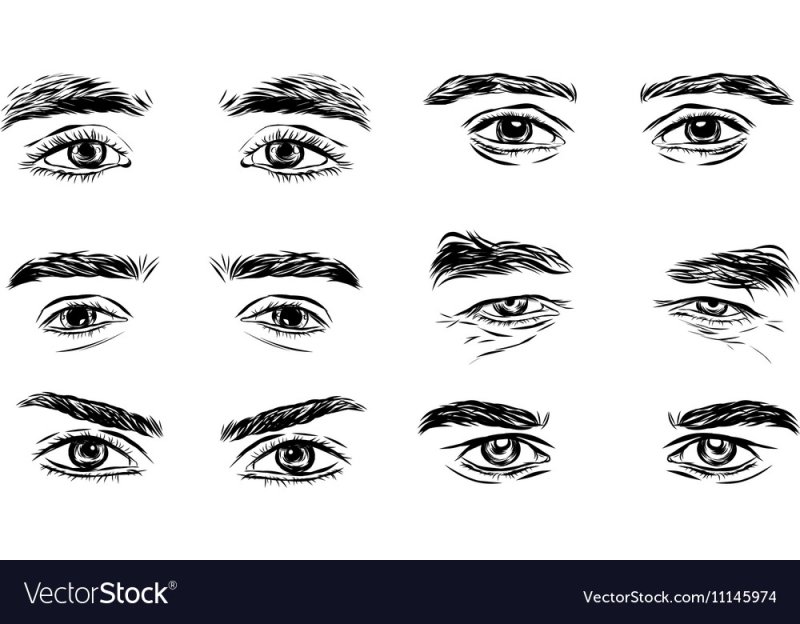 Мужские брови вектор