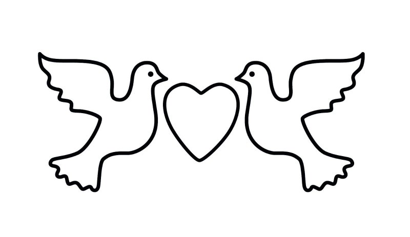 Голубь раскраска