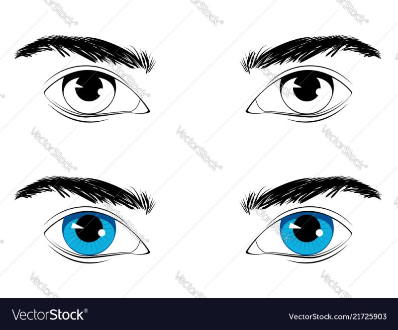 Мужские глаза рисунок
