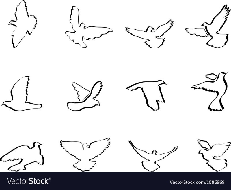 Трафареты маленьких голубей
