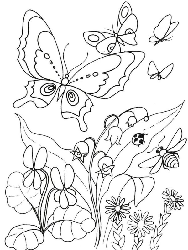 Бабочки с цветами раскраска
