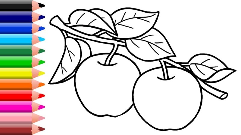 Рисунки дляраскршивания