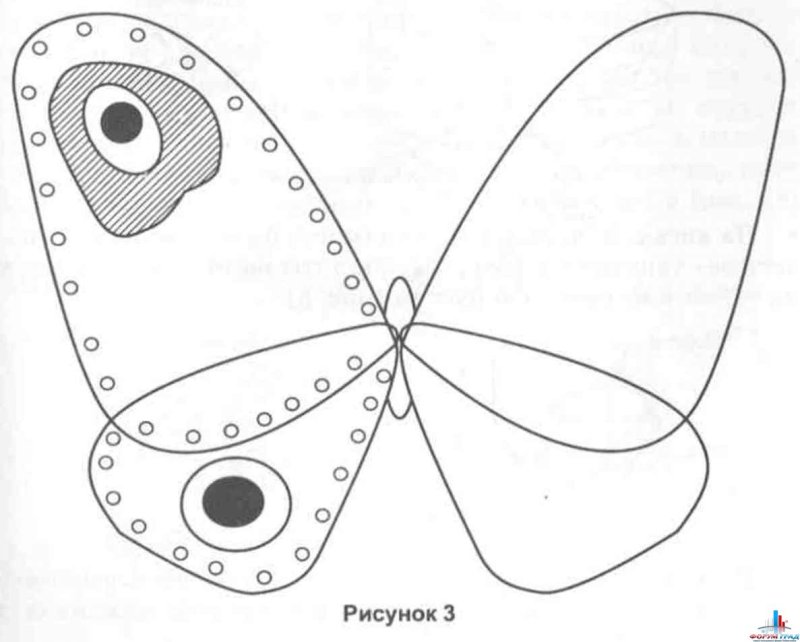 Выкройка бабочки