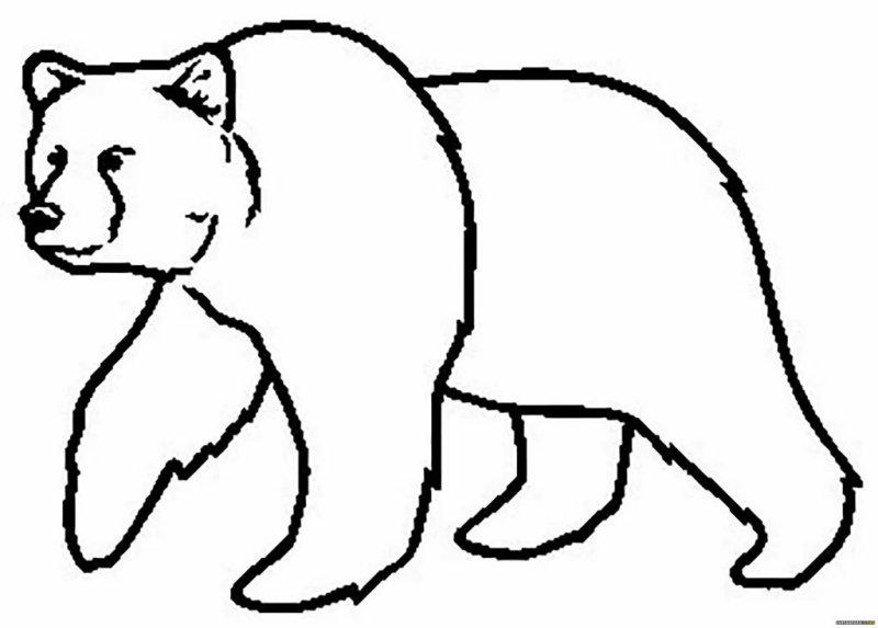 Контуры животных медведь