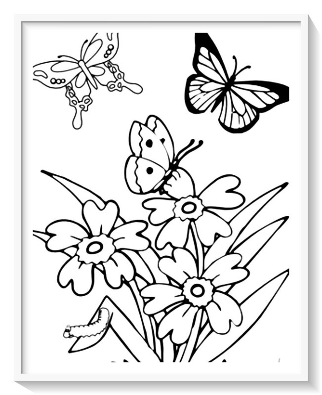 Рисунки для раскрашивания цветы