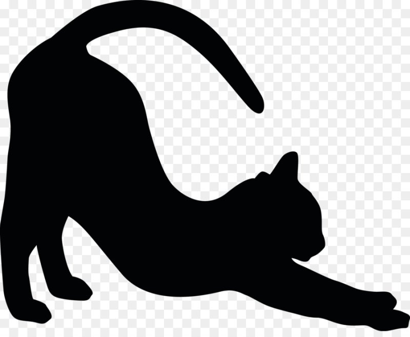 Черная кошка силуэт