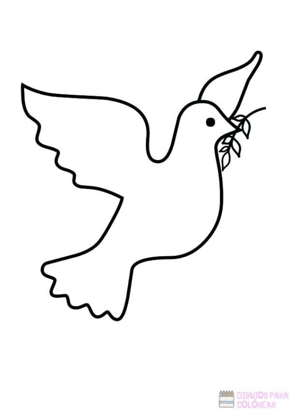 Голубь раскраска для детей