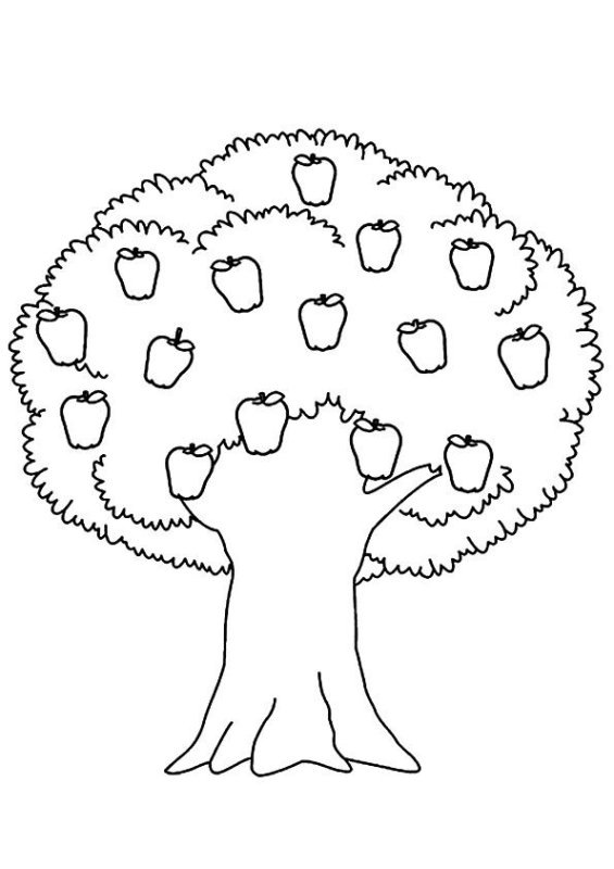 Дерево раскраска