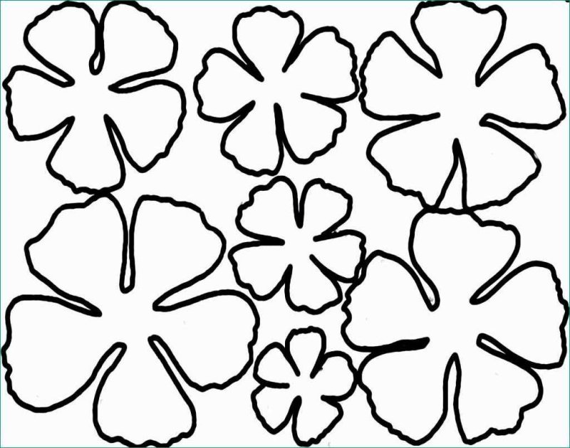 Цветок шаблон