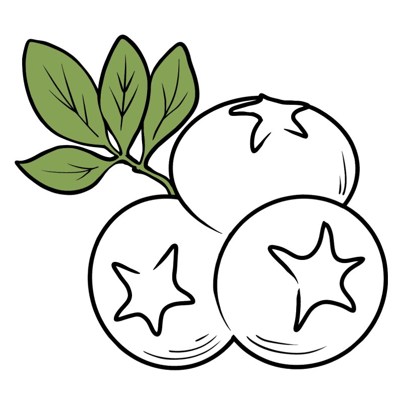 Черника раскраска