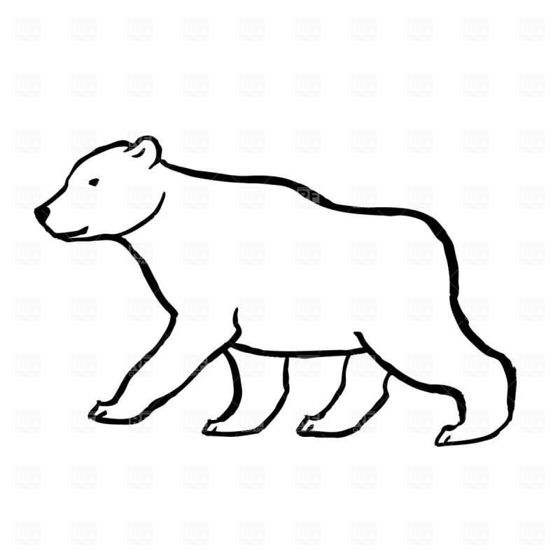 Контур белого медведя для детей