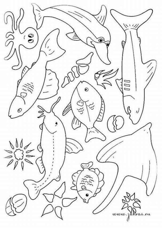 Морские рыбки раскраска