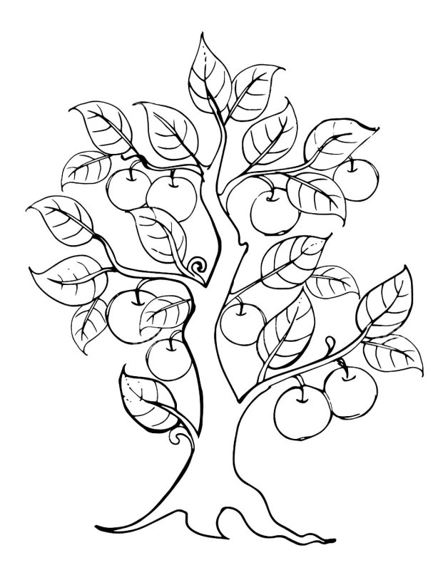 Дерево трафарет для рисования