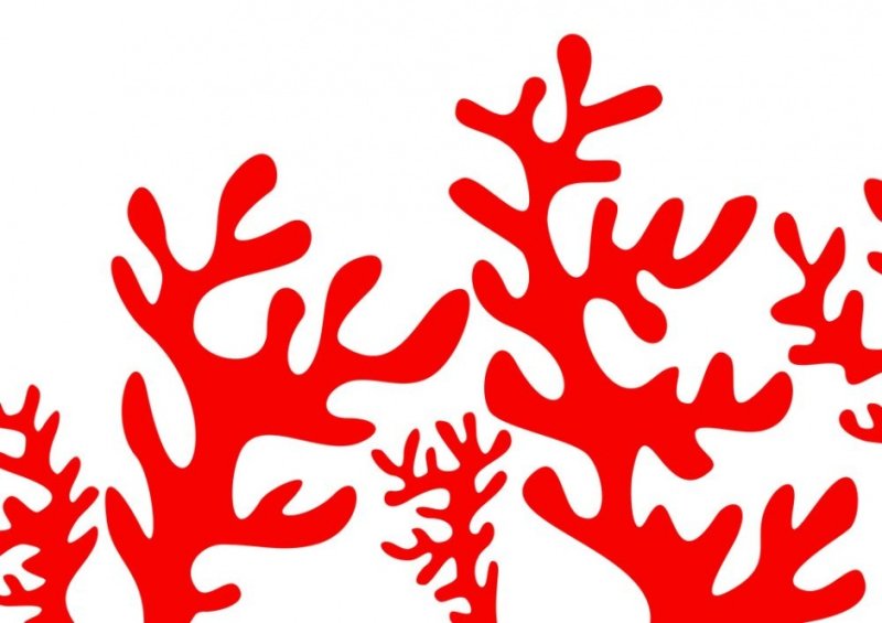 Трафареты кораллов