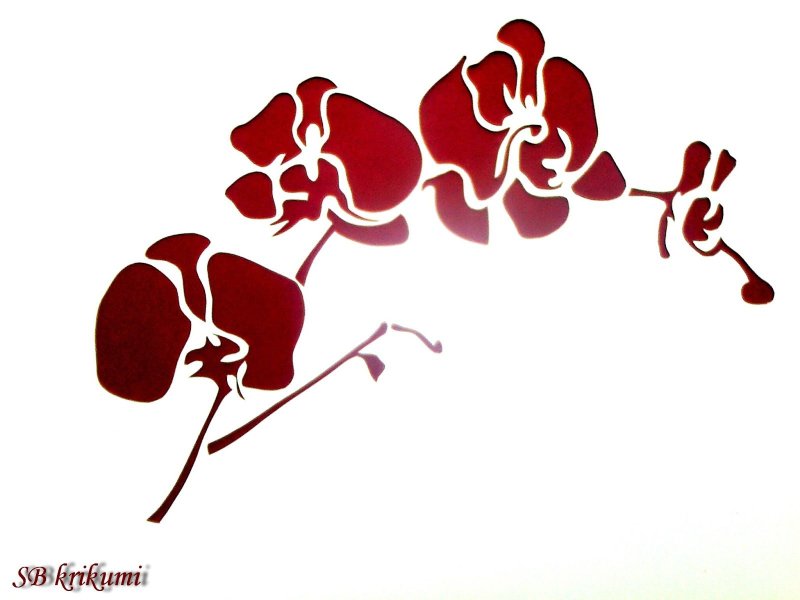 Орхидея трафарет для вырезания