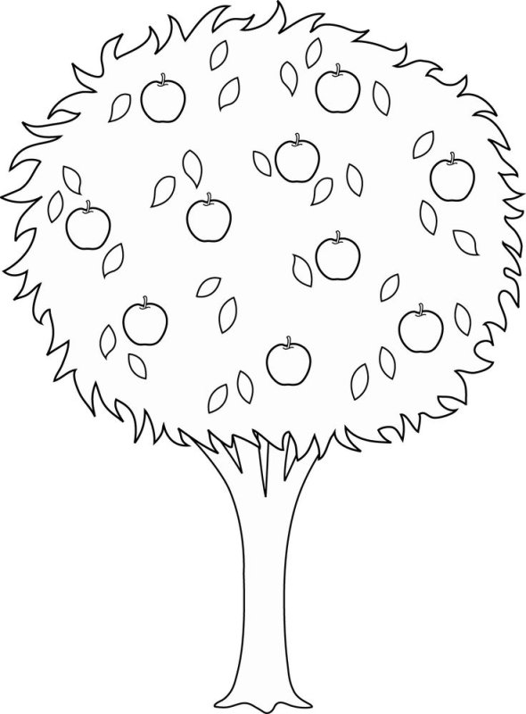 Дерево яблоня raskraska