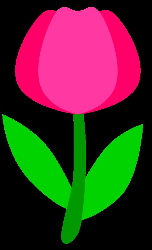 Тюльпаны трафарет цветной