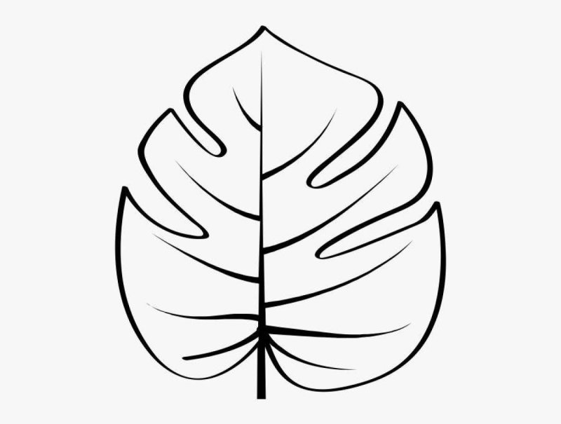 Monstera Leaf контур