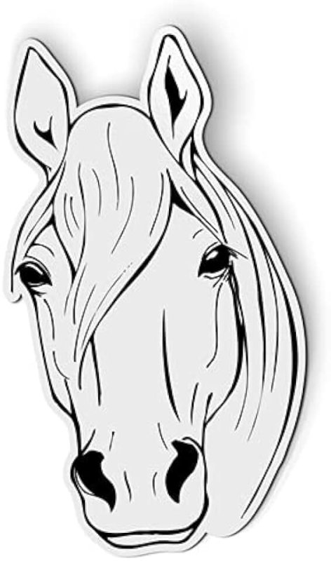 Морда лошади в профиль