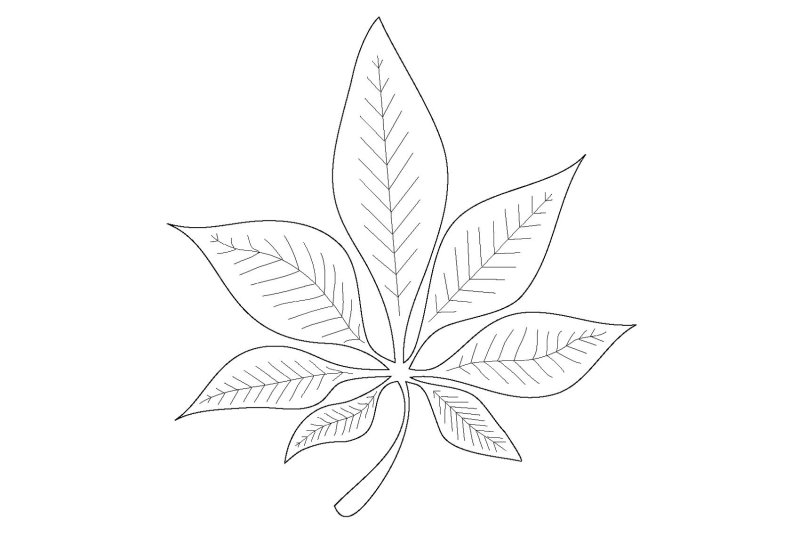 Лист каштана раскраска