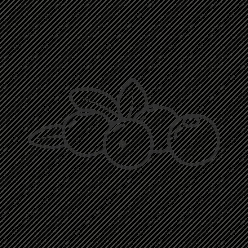 Клюква раскраска для детей