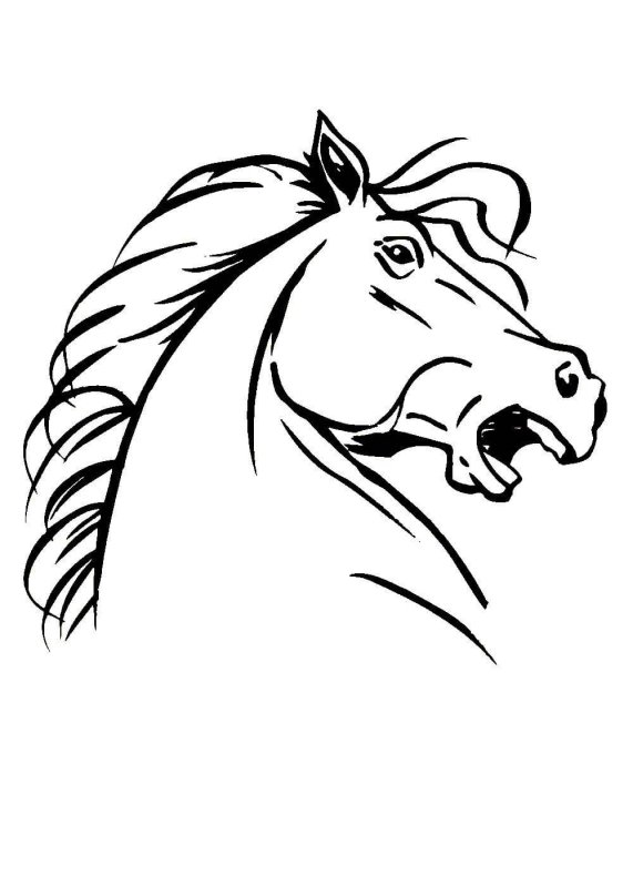 Голова лошади рисунок
