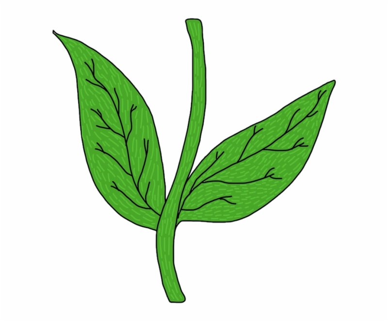 Стебли цветов