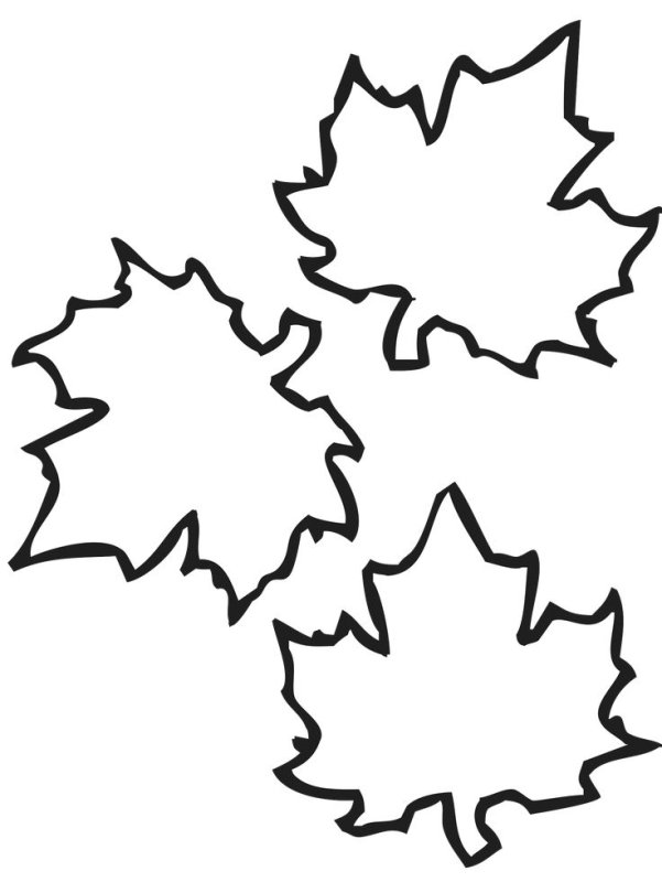 Кленовый лист контур