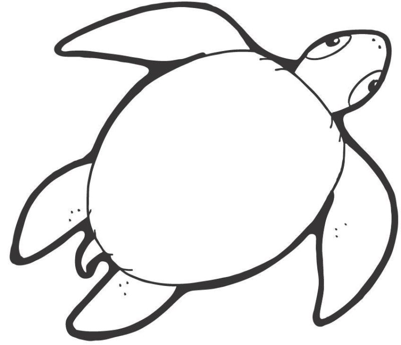 Черепаха раскраска