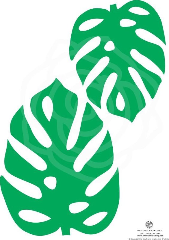 Монстера шаблон листика