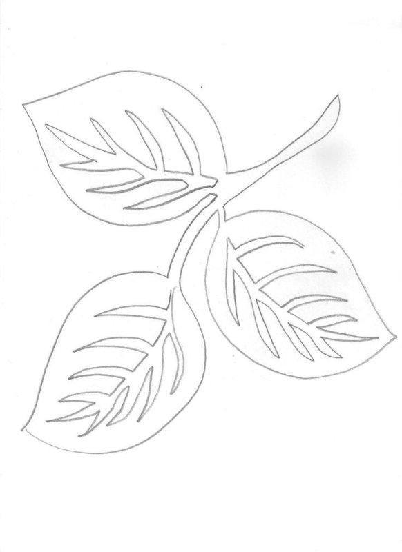 Листья трафареты для вырезания из бумаги