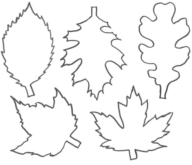 Трафарет листьев