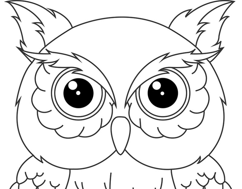 Раскраска Сова