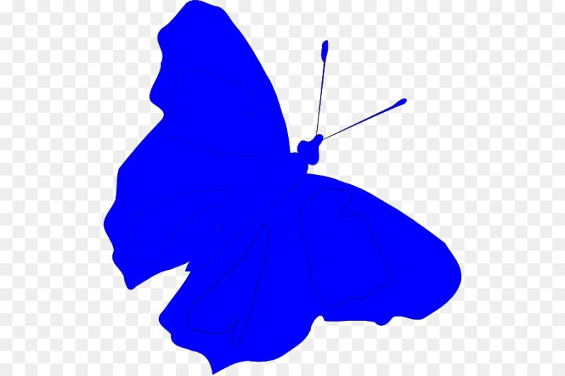 Голубые бабочки на белом фоне